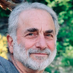 David Weinstock